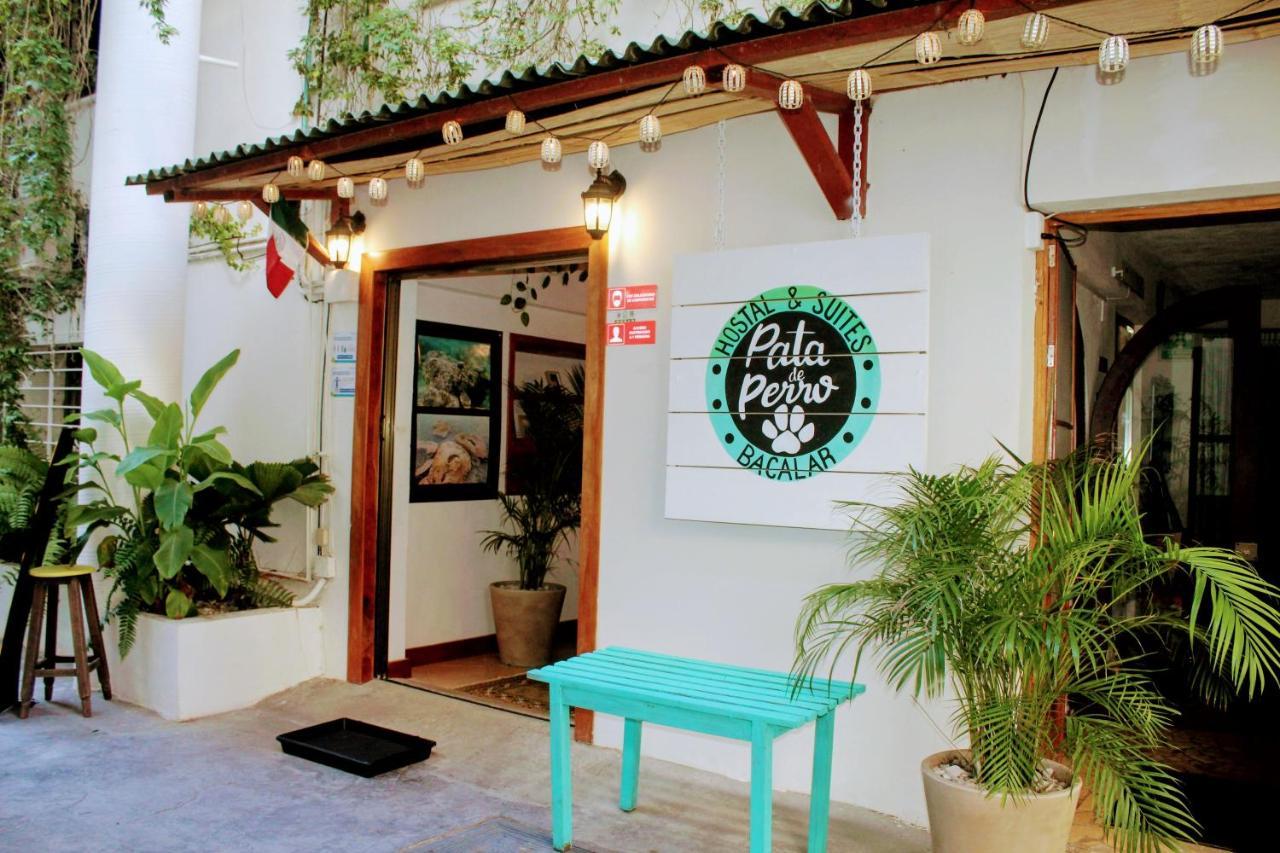 & Pata De Perro Auberge de jeunesse *